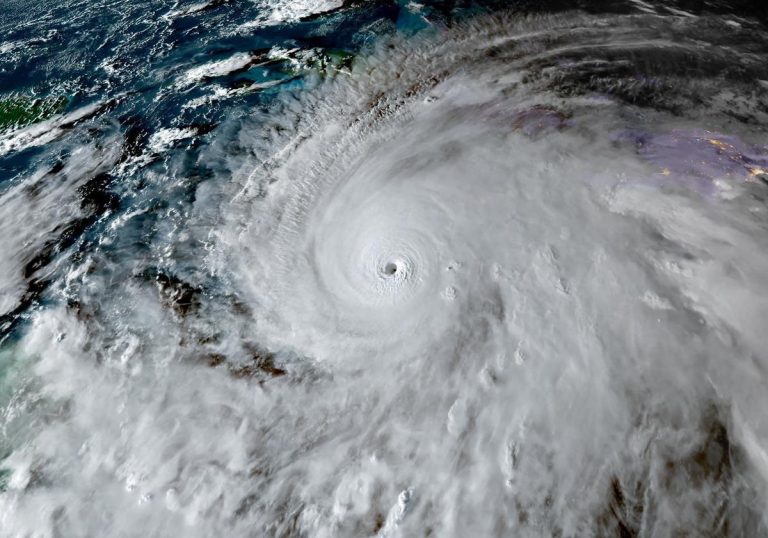 Miles de pájaros quedan atrapados en el ojo del huracán Melissa durante su paso hacia Jamaica