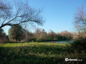 Dos Hermanas, Tierra de Oportunidades para Emprendedores Turísticos