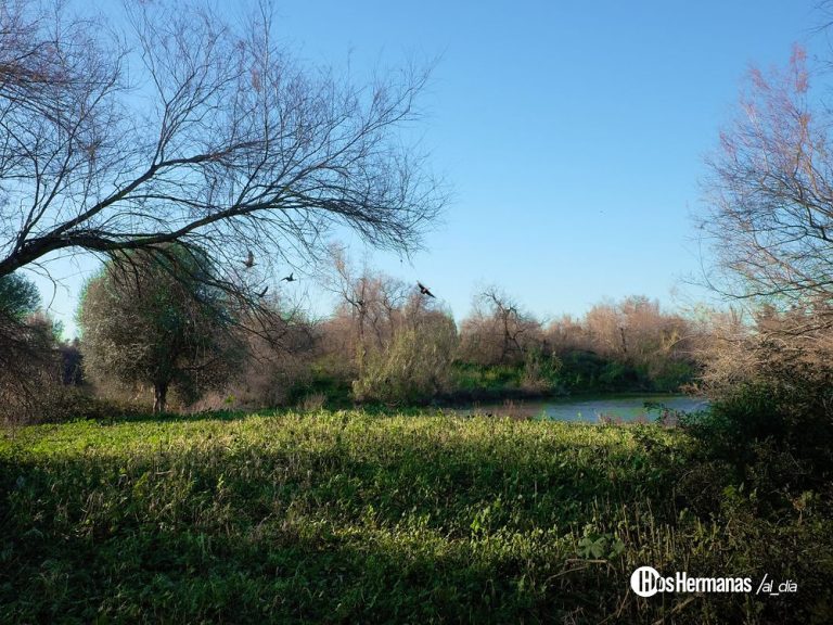 Dos Hermanas, Tierra de Oportunidades para Emprendedores Turísticos