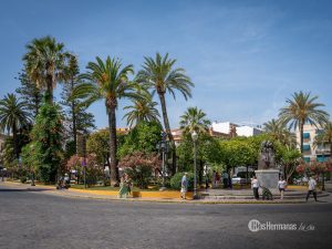 Cuando el verano suena a Dos Hermanas: La esencia estival en nuestra ciudad