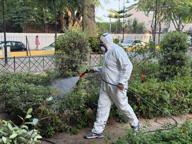 Alerta por Virus del Nilo Occidental en Dos Hermanas y Sevilla: Un riesgo creciente por el mosquito Culex perexiguus