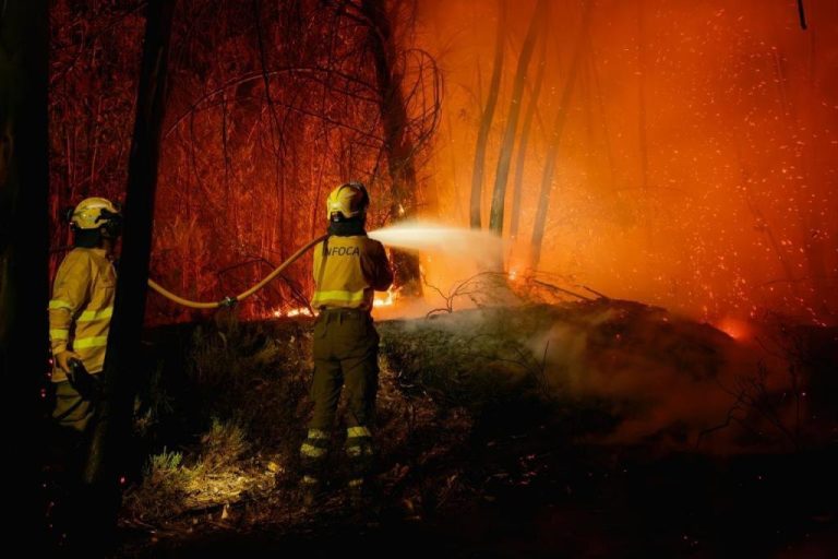Incendio en Niebla (Huelva) sigue avanzando impulsado por eucaliptos y desafía a los bomberos
